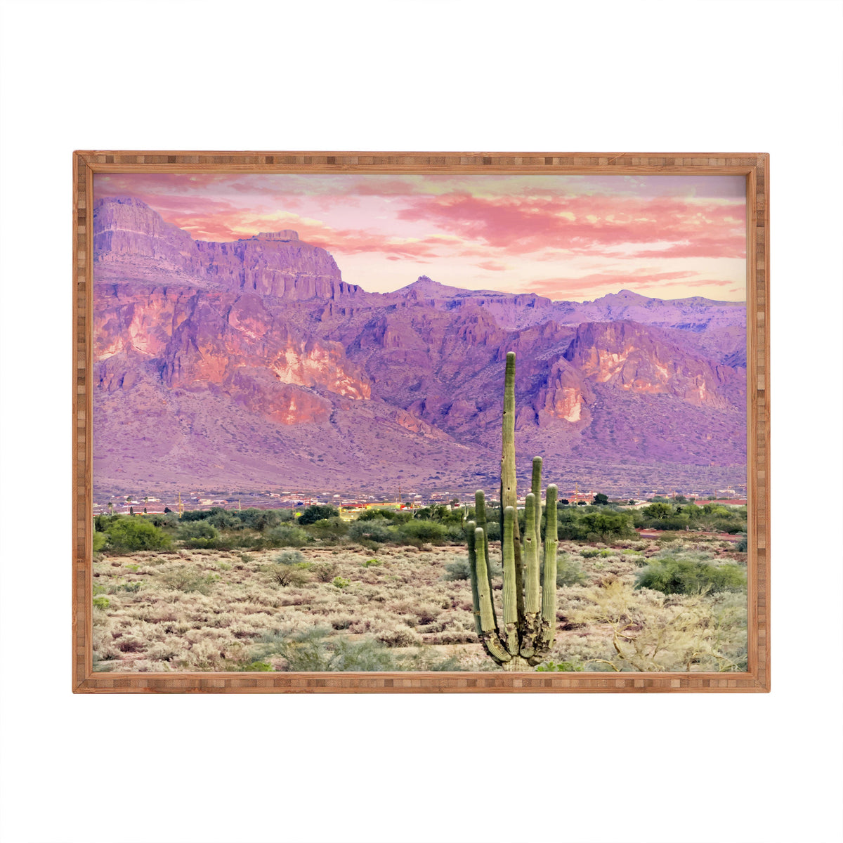 83 Oranges Cactus Sunset Rectangular Tray