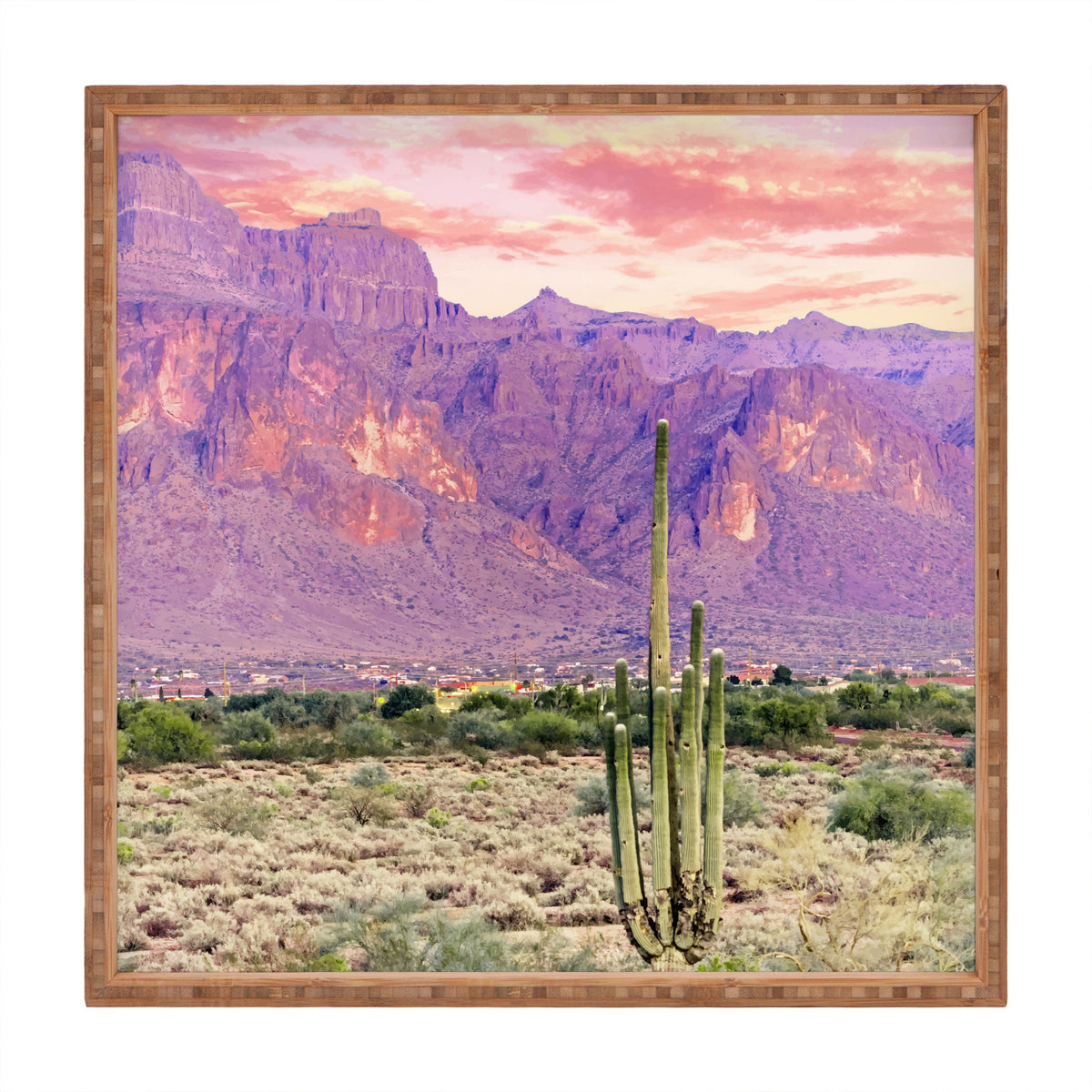 83 Oranges Cactus Sunset Square Tray