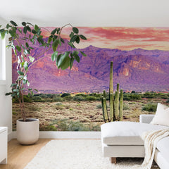 83 Oranges Cactus Sunset Wall Mural