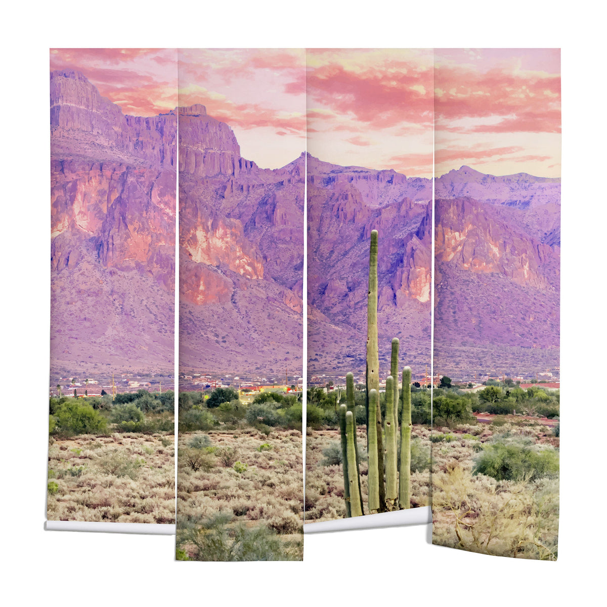 83 Oranges Cactus Sunset Wall Mural