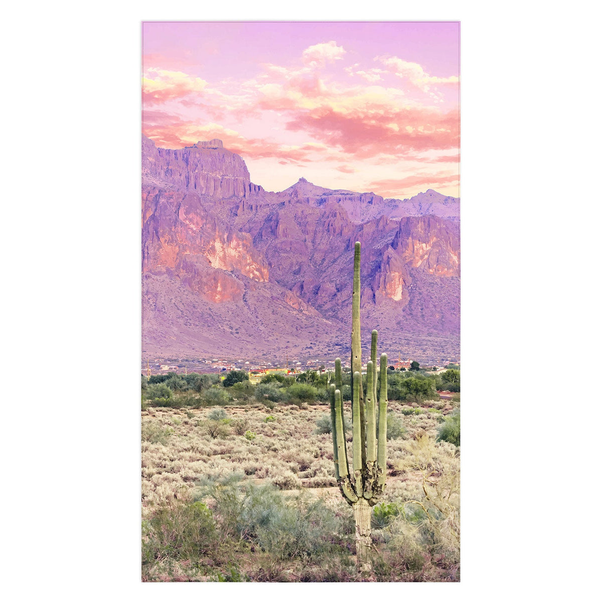 83 Oranges Cactus Sunset Tablecloth