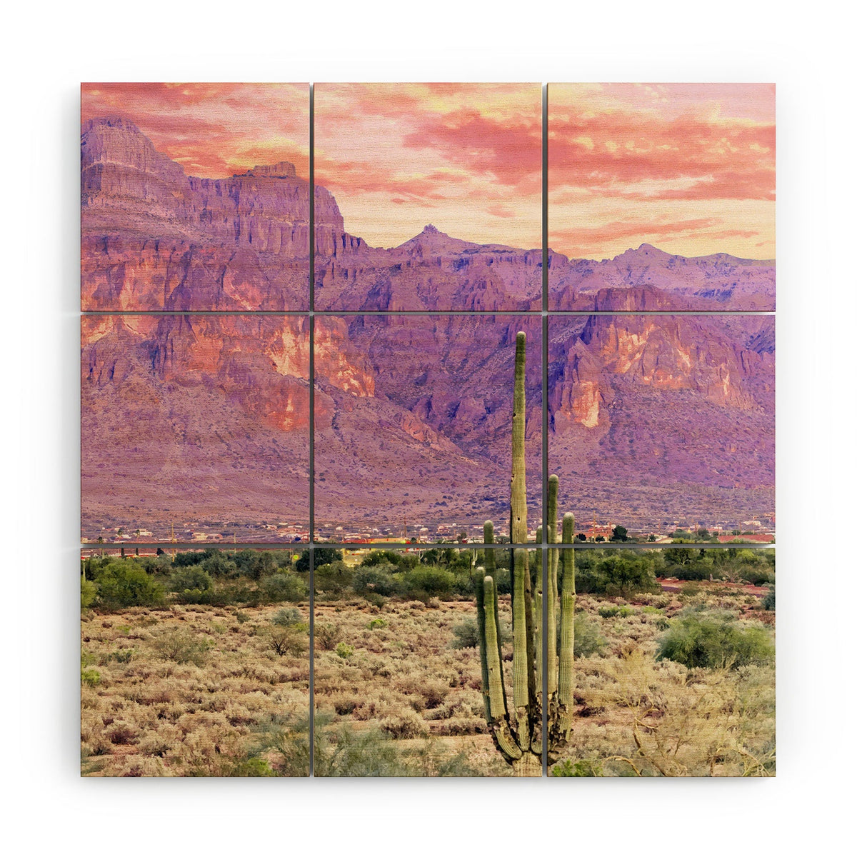 83 Oranges Cactus Sunset Wood Wall Mural