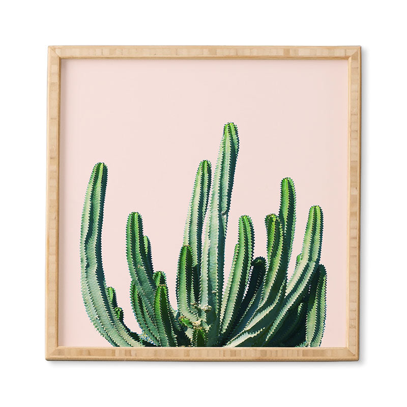 83 Oranges Cactus V6 Framed Wall Art