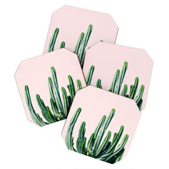 83 Oranges Cactus V6 Coaster Set
