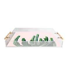 83 Oranges Cactus V6 Acrylic Tray