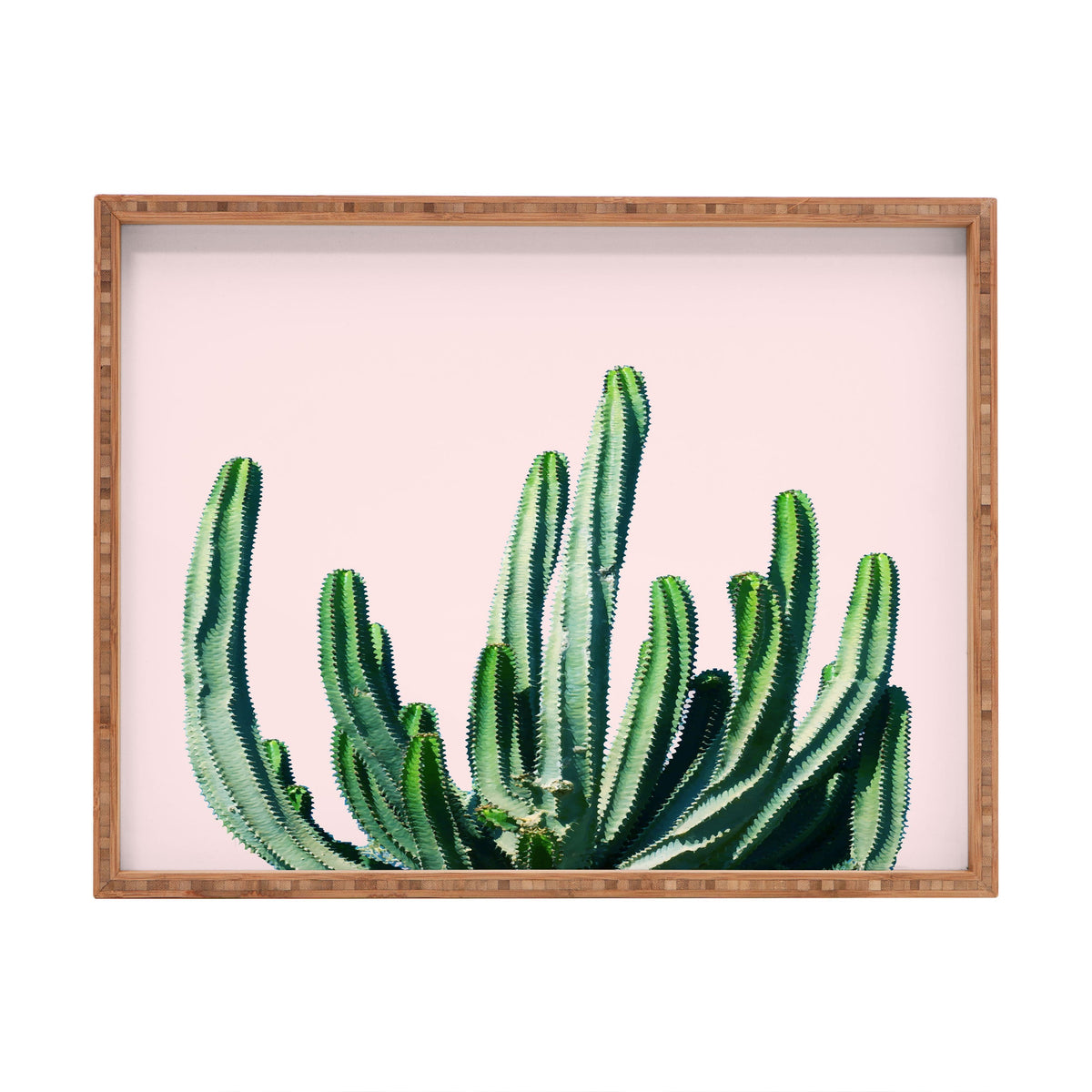 83 Oranges Cactus V6 Rectangular Tray