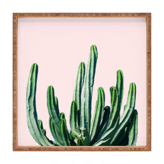 83 Oranges Cactus V6 Square Tray