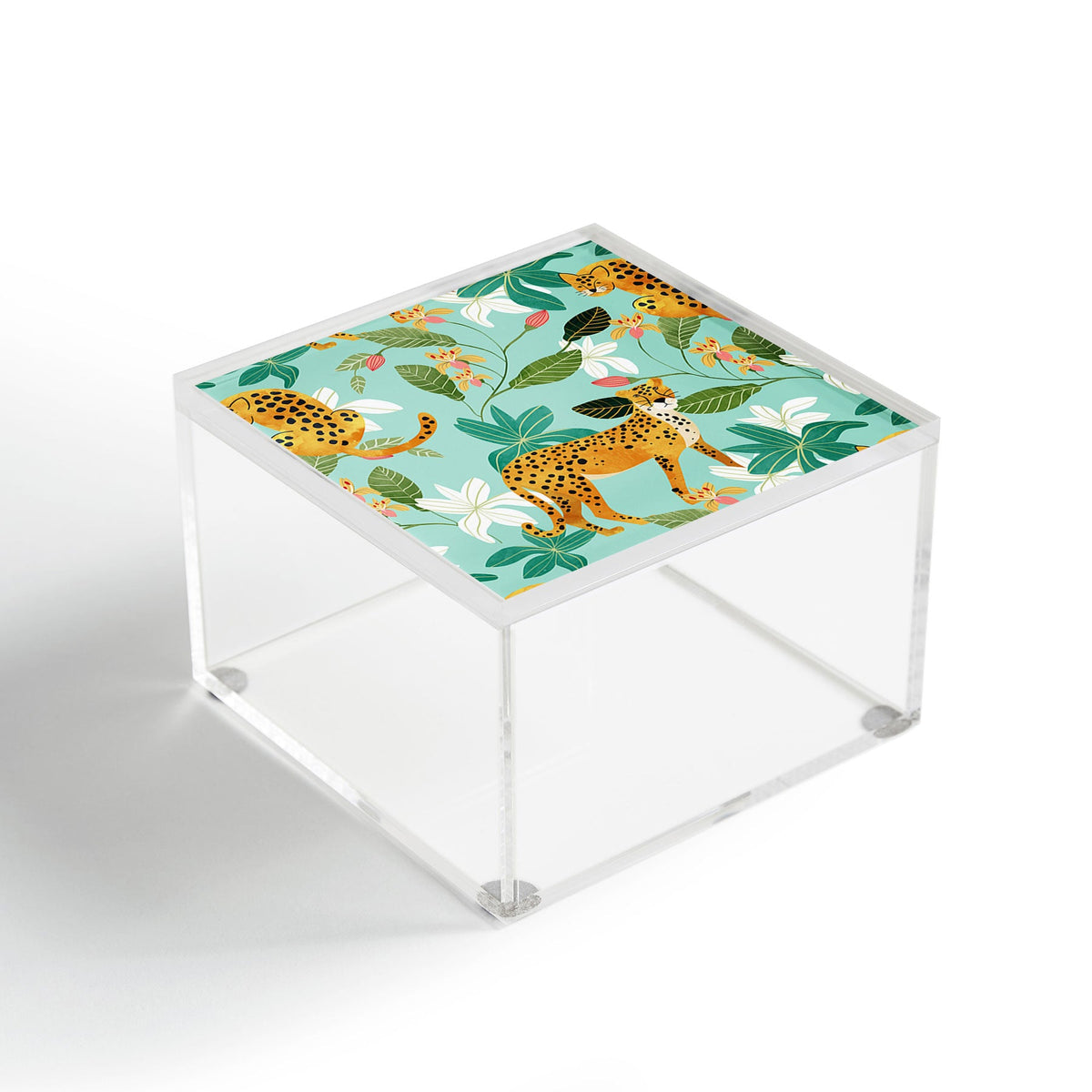 83 Oranges Cheetah Jungle Acrylic Box