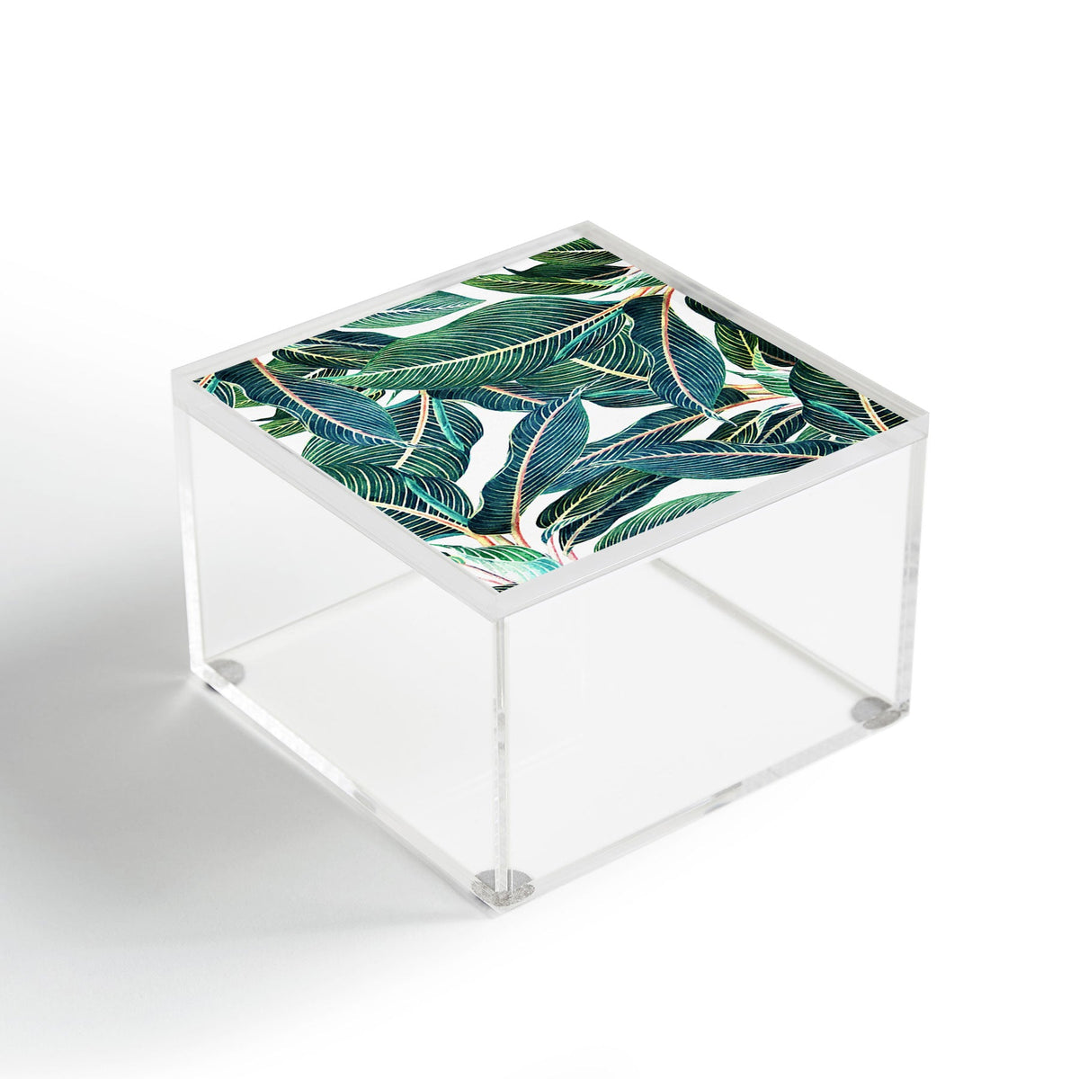 83 Oranges Edge and Dance Acrylic Box