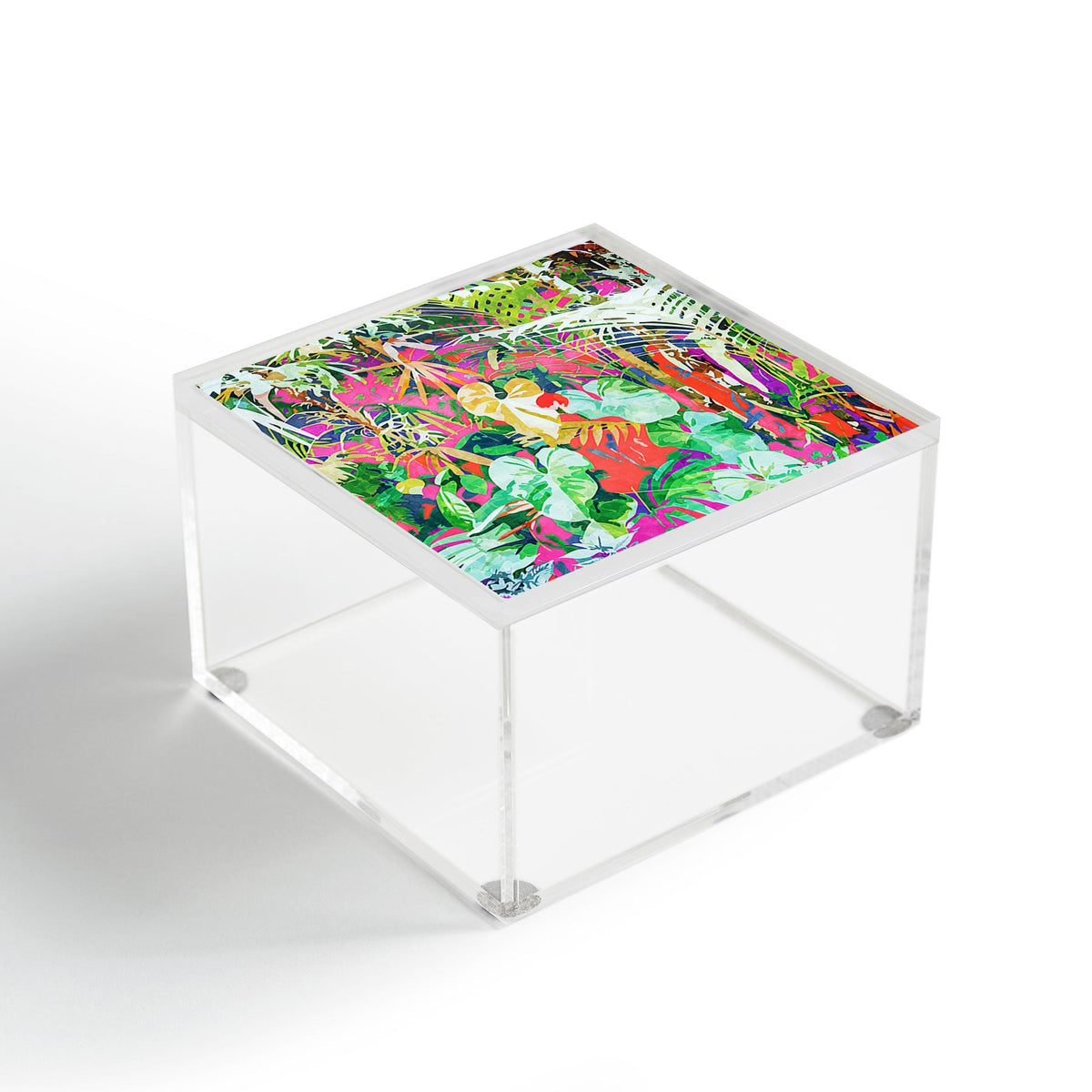 83 Oranges Find Me Where The Tropical Acrylic Box