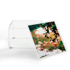 83 Oranges Flamingo Sighting Jungle Nature Acrylic Box