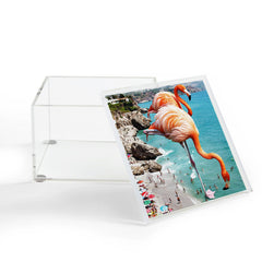 83 Oranges Flamingos on the Beach Wildlife Acrylic Box