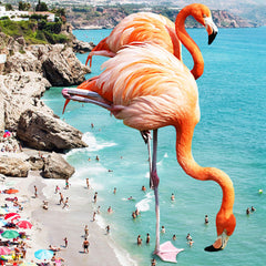 83 Oranges Flamingos on the Beach Wildlife Shower Curtain