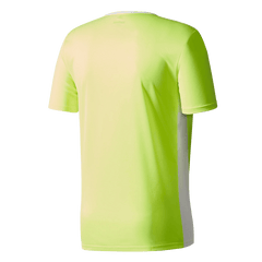 Entrada 18 Jersey (CE9759) Apparel Adidas