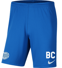 HELLENIC AC Youth Nike Dri-FIT Park 3 Shorts HELLENIC AC Nike Club Zone