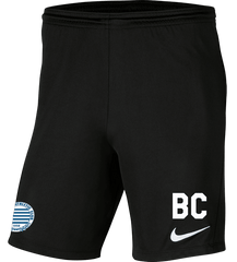 HELLENIC AC Men's Nike Dri-FIT Park 3 Shorts HELLENIC AC Nike Club Zone
