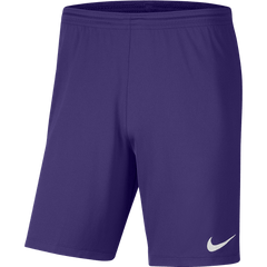 Mens Park 3 Short (BV6855-547) Teamwear Nike
