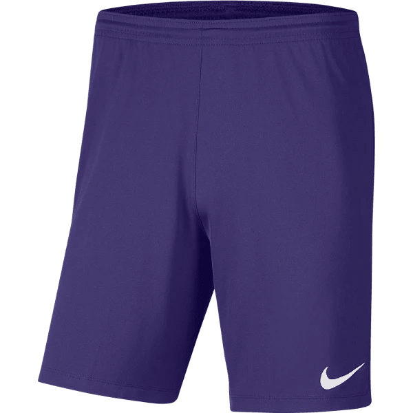 Men's Park 3 Shorts (BV6855-547) Apparel Nike