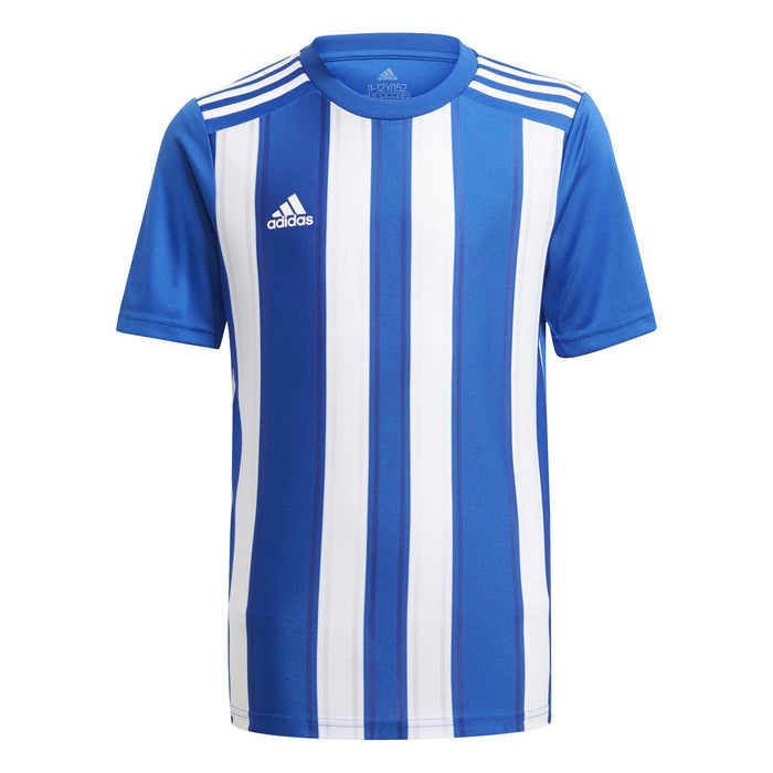 Striped 21 Jersey Teamwear Adidas