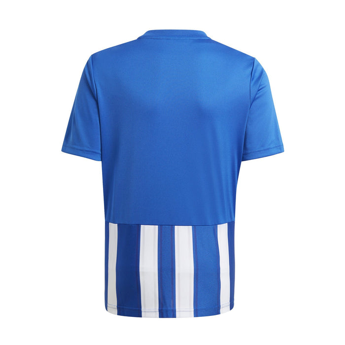 Striped 21 Jersey Teamwear Adidas