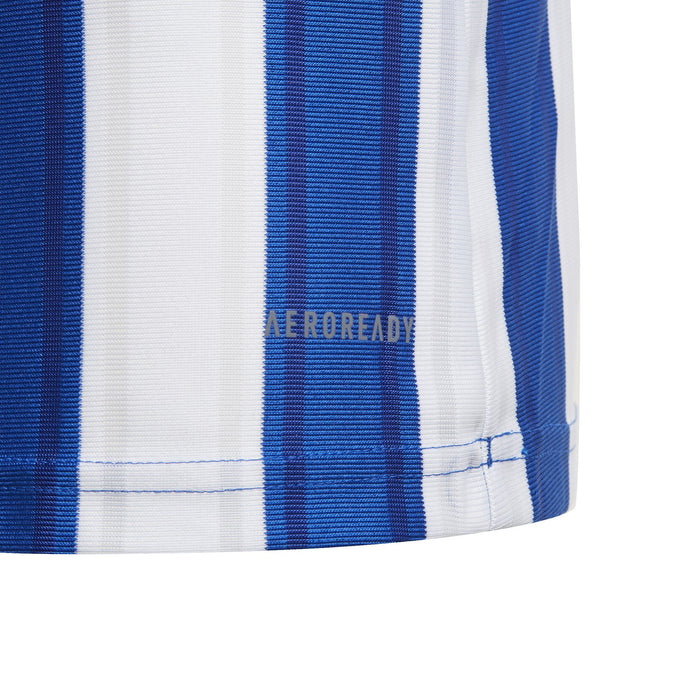 Striped 21 Jersey Teamwear Adidas