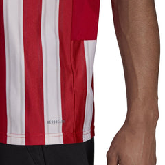 Striped 21 Jersey Teamwear Adidas