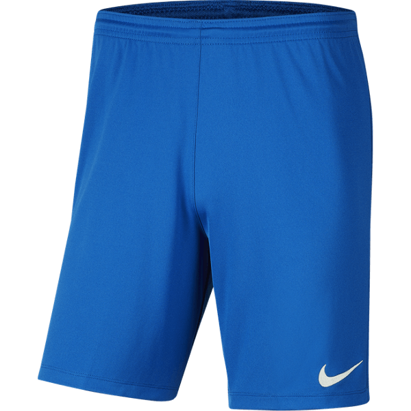Youth Nike Dri-FIT Park III Shorts Teamwear Nike