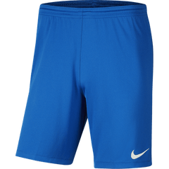 Youth Nike Dri-FIT Park III Shorts Teamwear Nike