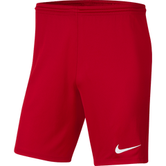 Youth Nike Dri-FIT Park III Shorts Teamwear Nike